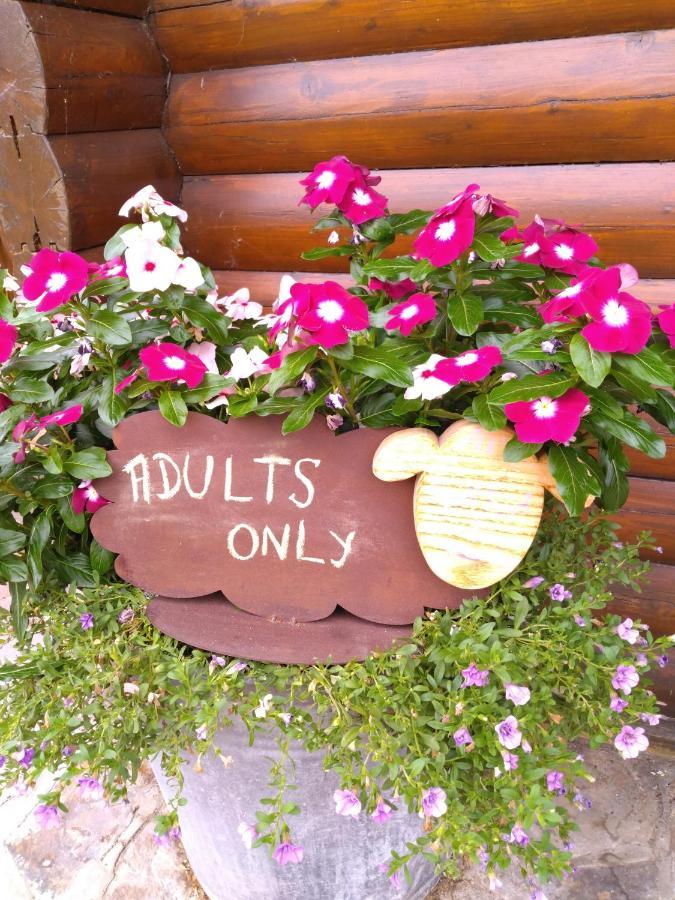 Chalet Le Paradou Adults Only Lessive Exterior foto